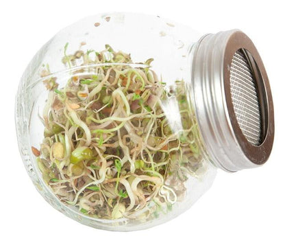 Organic Sprouting pot Salademix - Parrot and Bird Supplies