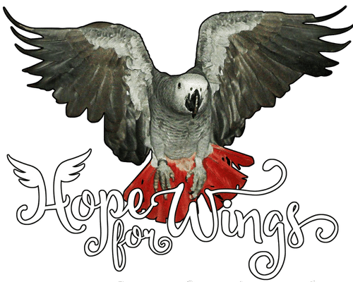 Donatie Hope For Wings €10 - Parrot and Bird Supplies