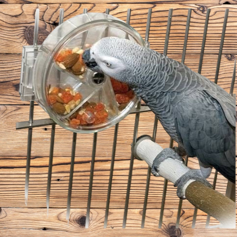 Original Foraging Wheel - Parrot and Bird Supplies