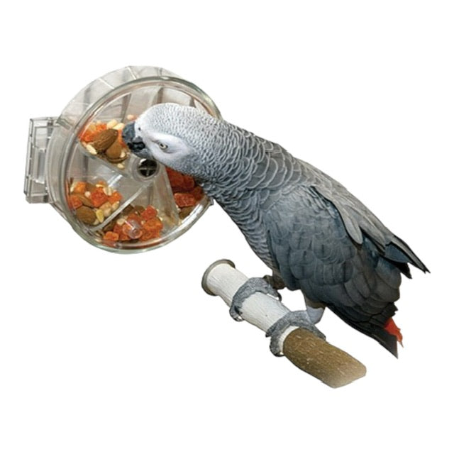 Original Foraging Wheel - Parrot and Bird Supplies