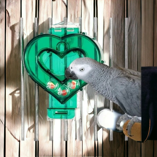 Creative foraging systems Mastermind Heart - Parrot and Bird Supplies