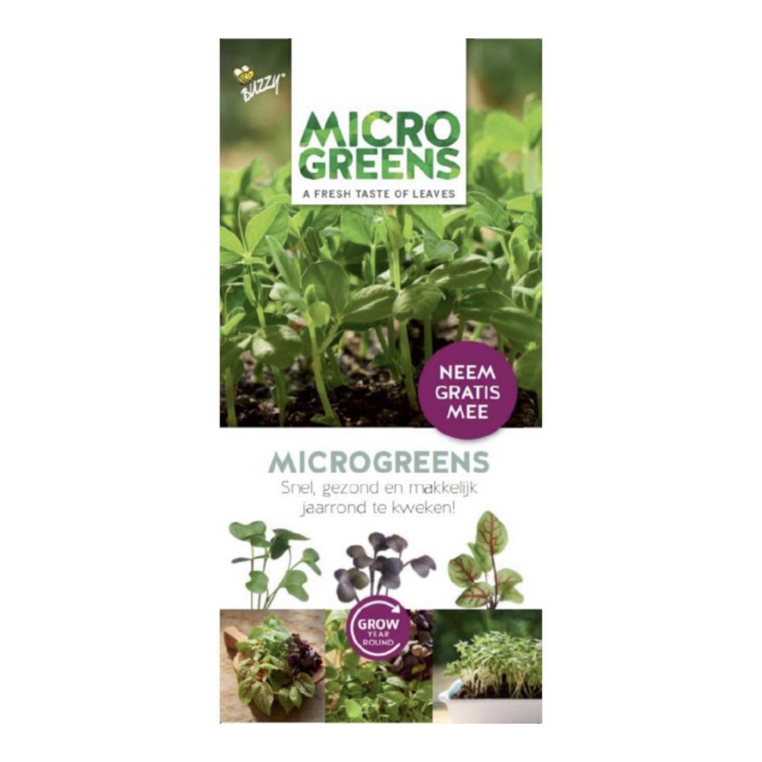 Brochure Buzzy Microgreens Ned - Parrot and Bird Supplies