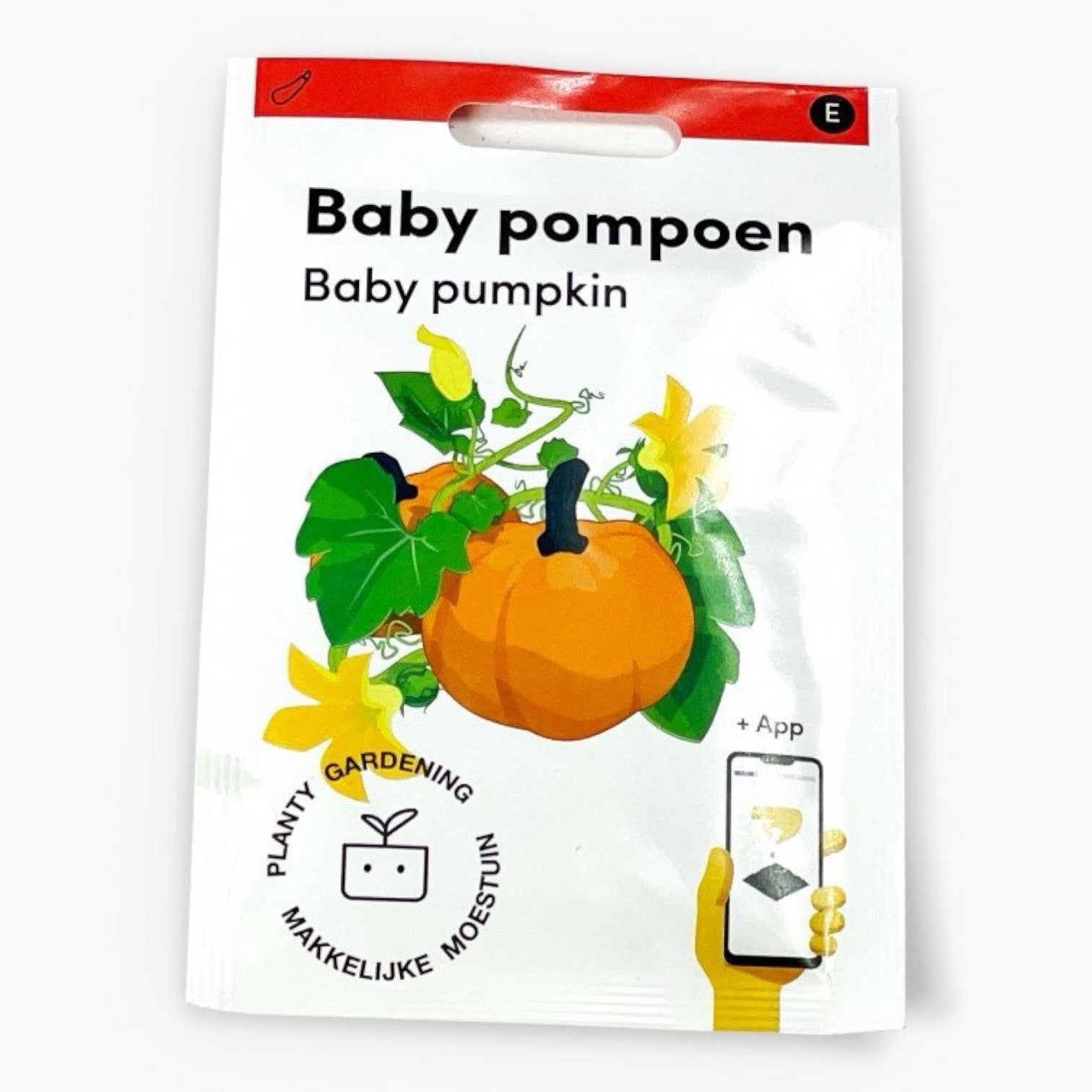 Baby pompoen - Parrot and Bird Supplies