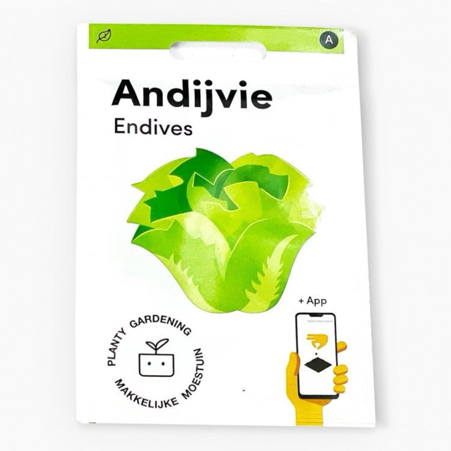 Andijvie - Parrot and Bird Supplies